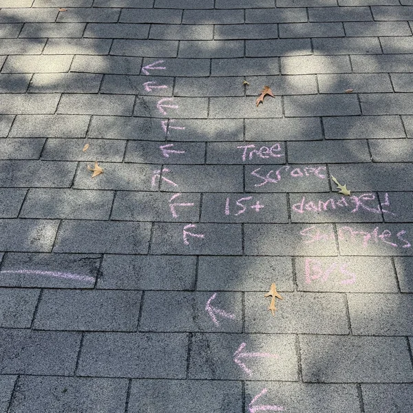 Tree-Damaged Roof | Humbled Roofing & Restoration